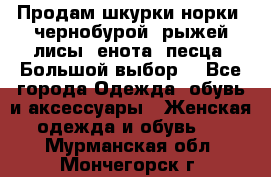 Продам шкурки норки, чернобурой, рыжей лисы, енота, песца. Большой выбор. - Все города Одежда, обувь и аксессуары » Женская одежда и обувь   . Мурманская обл.,Мончегорск г.